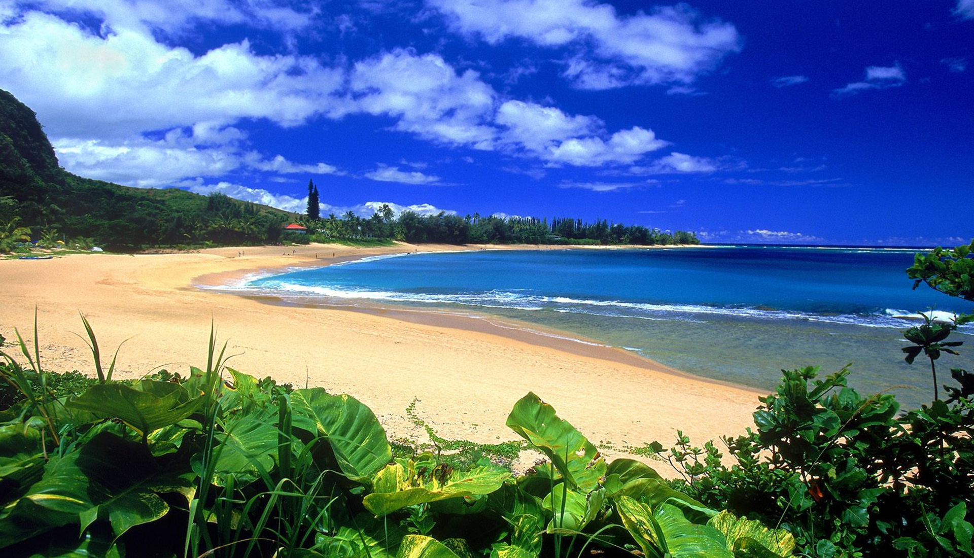 kauai-hawaii-luxury-rental-anini-reef